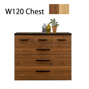 `FXg 120 4i \y ^X ߗގ[ _X m^X [I o[ 120×43 ؐ oCJ[  k _ i Jݒu