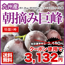 ＼クーポン利用で10%OFF／【送料無料】ぶどうの王様 朝摘み巨峰（特選巨峰）約1.2kg（約300g×4パック）《7-14営業日以内に出荷(土日祝日除く)》【... ランキングお取り寄せ