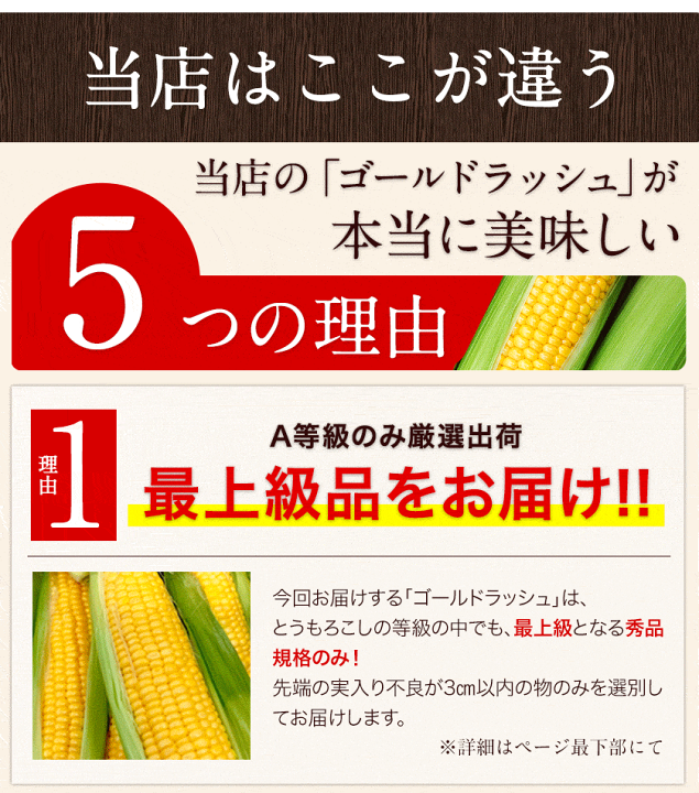 7月下旬から順次発送予定 とうもろこし10本 2L〜Lサイズ 大分県産 シャキあまコーン 糖度18〜20度 フルーツ並みの甘さ (訳ありセール 7月下旬から順次発送予定 とうもろこし10本 2L〜Lサイズ 大分県産 シャキあまコーン 糖度18〜20度 フルーツ並みの甘さ (訳ありセール