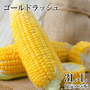 【送料無料】熊本県産 とうもろこし ゴールドラッシュ 5本入り (3L~L サイズ) 朝採り 生で食べられる スイートコーン 糖度 メロン並み 2セット購入で+...