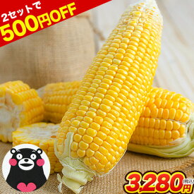 ＼500円OFFクーポン配布中！／ 日本最速級6月中出荷 とうもろこし ゴールドラッシュ 7本入り (3L~L サイズ) 約2.1kg〜約2.4kg メロン 並の甘さ 朝採り 生で食べられる スイートコーン お取り寄せ お取り寄せグルメ《6月中旬〜7月上旬頃より発送予定》