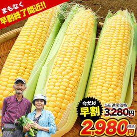 【 早割終了間近☆今だけ300円OFF 】 とうもろこし 卯野農場 すごあまこーん 7本入り 【3L~Lサイズ / 約2.1kg-約2.4kg前後】 2セットで3本おまけ＆500円OFF メロン 並の甘さ 朝採り スイートコーン お中元 御中元 ギフト お取り寄せグルメ 《7月中旬-8月下旬頃より発送予定》