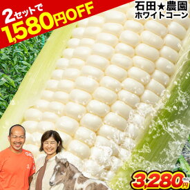 【今年も販売解禁！】白いとうもろこし 2.4kg 400g前後 6本 2.4kg以上 ホワイトコーン 甘い とうもろこし スイートコーン 糖度 甘い フルーツコーン コーン 野菜 白いおおもの 石田☆農園 《5月末頃～6月下旬頃より発送予定》