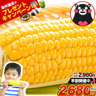【早割300円OFF★プレゼントキャンペーン開催】極甘とうもろこし スイートコーン 5本入り (3L~L サイズ) …