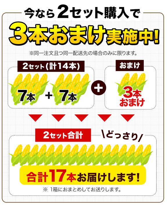 ポイント2倍 おまとめ 合計12本 | www.ankuramindia.com