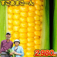 【2セット購入ならクーポンで600円OFF！】卯野農場 の すごあまこーん 5本入り 3L~L サイズ 朝採り 生で…
