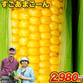 卯野農場 の すごあまこーん 5本入り 3L~L サイズ 朝採り 生で食べられる フルーツコーン 送料無料 とうもろこし スイートコーン 恵味 お取り寄せグルメ 九州産《7月上旬〜7月中旬頃より発送予定》