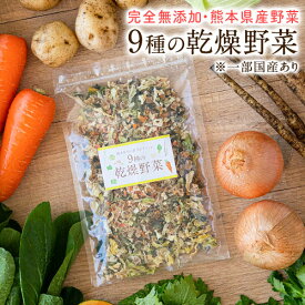 乾燥野菜 9種 国産野菜 ミックス 国産 無添加 熊本県産 100g みそ汁の具 フリーズドライ 野菜セット スープ 味噌汁 インスタント やさい 野菜 ブドウ糖不使用 保存食 ブラックフライデー 《7-14営業日以内に発送予定(土日祝日除く)》