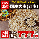 国産大麦 （丸麦）★大麦β-グルカンなど食物繊維が豊富★丸麦(国産)たっぷり1kg 送料無料★今話題の食物繊維ベータグルカンも含有《3-7営業日以内に出荷(土日... ランキングお取り寄せ