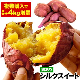 さつまいも 熊本県産 訳あり シルクスイート 1kg (サイズ大中小不揃い) 送料無料 【5kg注文でおまけ増量!合計9kg】焼き芋 お取り寄せ さつま芋 薩摩芋《1-5営業日以内に出荷予定(土日祝日除く)》