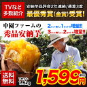 \2年連続SOYジャンル大賞受賞/中園ファームの安納芋(秀品)!TVで紹介★品評会で最高金賞受賞♪送料無料!2セットで1セットおまけ!★種子島の秀品安納芋(A品...