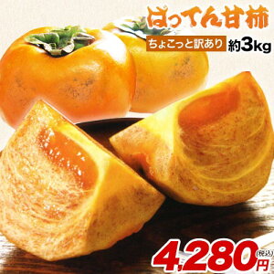 yzF{Y 傱 󂠂 ΂ĂÊ`iȂj3kg (16) 2L ` a` Ê` H̖o  t[c ʕ@e JtF ` j` Ea uh` sz