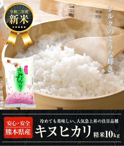 【送料無料】新米令和2年産キヌヒカリ精米10kg(熊本県産)★安心・安全熊本のお米