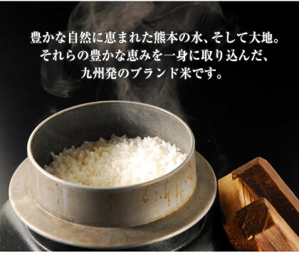 【送料無料】新米令和2年産キヌヒカリ精米10kg(熊本県産)★安心・安全熊本のお米