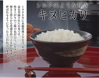【送料無料】新米令和2年産キヌヒカリ精米10kg(熊本県産)★安心・安全熊本のお米