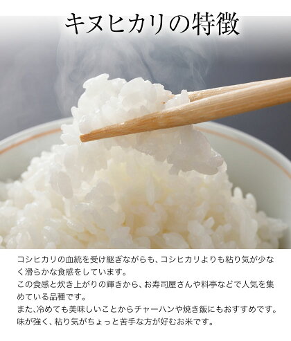 【送料無料】新米令和2年産キヌヒカリ精米10kg(熊本県産)★安心・安全熊本のお米