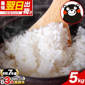 ヒノヒカリ 等3種から選べる 銘柄 米 5kg ( 5kg ×1袋) 令和7年産 熊本県産 ヒノヒカリ 森のくまさん くまさんの輝き 国産 白米 無洗米 家庭用 甘い ふっくら 送料無料 1‐3営業以内発送