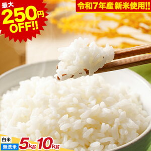 yȂ100~OFF&200Pt^Izyߘa7NYVĎgpz ~  V ̃uh 5kg 10kg y  /  Iׂz   5L 10L ÌÌÕ Ɩp ɂ {~ Ɓ@ߘa