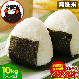 【期間限定300円OFF★27日まで】 熊本ふるさと 無洗米 10kg 送料無料 (5kg ×2袋)【令和5年産 ヒノヒカリ 10割使用】熊本県産 精米 白米 熊本ふるさと無洗米 非常食 保存食 最安値 挑戦《1-3営業日以内に発送予定(土日祝日除く)》