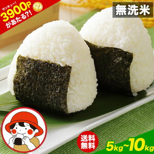 �y�G���g���[��3900P������I�H�z������ �I�ׂ� 5kg 10kg ���Y�� �u�����h ���S �� �����Y ���Y ���H �ۑ��H ���čς� ���� �ӂ邳�ƕ� ���� ���~�� �ł͂���܂��� �y�ŒZ�����`3�c�ƈȓ��ɔ�