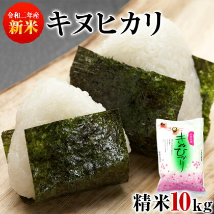 【送料無料】新米令和2年産キヌヒカリ精米10kg(熊本県産)★安心・安全熊本のお米