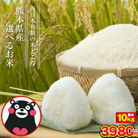 楽天市場 森のくまさん 10kgの通販