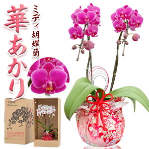 yMtgɂ߁z ~fBӒ 2{Mtg  C~ Ӓ  pɂœKȃv[g  j a LO sz\ɋLڂ̓ł͂t