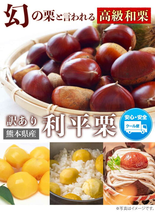 楽天市場】在庫限りの緊急再販！ 【セット購入で最大1,740円OFF】 熊本  
