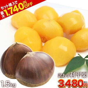yZbgwōő1,740~OFFz F{Y 󂠂 I 1.5kg  y󏭕izI 2L`LTCY I u ̌I ւ I a  aI N[ H Y H̖o 