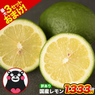 熊本産 レモン 訳あり 1.5kg 送料無料 【2箱で1箱おまけ】防腐剤不使用 防カビ剤不使用 ノーワックス 国…