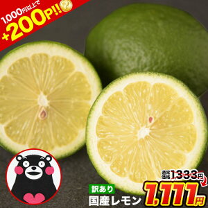 yȂ222~OFFGg[200PҌzY  󂠂 1.5kg  yő4.5kg܂ʁzF{Y X{ Og TCYsI t[c EG  