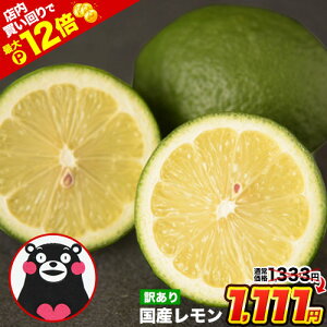 yXPő12{zyȂSALE1333~1111~zY  󂠂 1.5kg  yő4.5kg܂ʁzF{Y X{ Og TCYsI t[c EG 