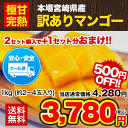 ＼期間限定★500円OFF／【送料無料】★本場宮崎県産マンゴー★訳あり極甘完熟マンゴー1kg(約2〜4玉)2セット購入で1セット増量!※大中小サイズ無選別※複数... ランキングお取り寄せ