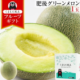 ギフト プレゼント 肥後グリーンメロン 1玉 秀品 2Lサイズ 熊本産 約1.2kg以上 高級 産地直送 送料無料 ギフト 贈答 フルーツギフト 高級 ハウス栽培 食べ頃 見分け 方 品種 糖度 《配送予定に記載の日程でお届け》