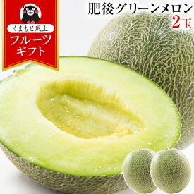 ギフト プレゼント 肥後グリーン メロン 2玉 秀品 2Lサイズ 熊本産 約1.2kg以上×2玉 送料無料 ギフト 贈答 フルーツギフト 高級 熨斗 のし ハウス栽培 食べ頃 見分け 方 品種 糖度《配送予定に記載の日程でお届け》