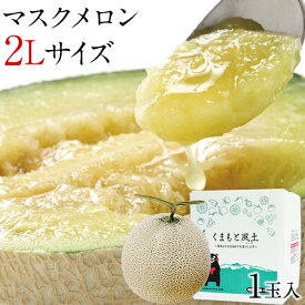 九州産 マスクメロン 2Lサイズ 秀品 1玉 約1.2kg 送料無料 熨斗対応 ギフト プレゼント メロン 贈答 フルーツギフト 贈り物 《ご選択の納期以内に発送》|
