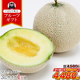 【無くなり次第終了★クーポンで4,480円】マスクメロン 九州産 メロン 【一番人気の3Lサイズ】大玉 3Lサイズ 1玉 送料無料 約1.5kg以上 熨斗 ご贈答 フルーツ ギフト メロン 高級 のし 《7-14営業日以内に出荷予定（土日祝除く）》