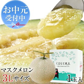マスクメロン 九州産 メロン 【一番人気の3Lサイズ】大玉 3Lサイズ 1玉 送料無料 約1.5kg以上 熨斗 ご贈答 フルーツ ギフト メロン 高級 のし 《配送予定に記載の日程でお届け》|
