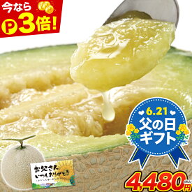 【ポイント3倍★父の日ギフト】九州産 マスクメロン 2Lサイズ 秀品 1玉 約1.2kg 送料無料 熨斗対応 ギフト プレゼント メロン 贈答 フルーツギフト 贈り物 《7-14営業日以内に出荷予定（土日祝除く）》