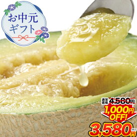 【今だけ1000円OFF】 マスクメロン 九州産 メロン 【一番人気の3Lサイズ】大玉 3Lサイズ 1玉 送料無料 約1.5kg以上 熨斗 ご贈答 フルーツ ギフト メロン 高級 のし 《配送予定に記載の日程でお届け》|
