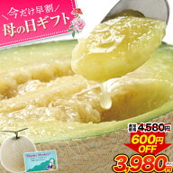 【母の日早割★4,580円⇒3,980円】マスクメロン 九州産 メロン 【一番人気の3Lサイズ】大玉 3Lサイズ 1玉…