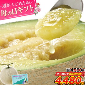 【無くなり次第終了★クーポンで4,480円】マスクメロン 九州産 メロン 【一番人気の3Lサイズ】大玉 3Lサイズ 1玉 送料無料 約1.5kg以上 熨斗 ご贈答 フルーツ ギフト メロン 高級 のし 《7-14営業日以内に出荷予定（土日祝除く）》
