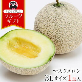 マスクメロン 九州産 メロン 【一番人気の3Lサイズ】大玉 3Lサイズ 1玉 送料無料 約1.5kg以上 熨斗 ご贈答 フルーツ ギフト メロン 高級 のし 《7-14営業日以内に出荷予定（土日祝除く）》