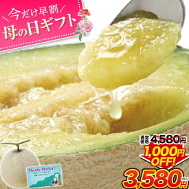 【今だけ早割価格★母の日ギフト】 マスクメロン 九州産 秀品 メロン お中元【当店一番人気の3Lサイズ】大玉3Lサイズ 1玉 送料無料 約1.5kg以上 熨斗 ご贈答 フルーツ ギフト メロン 高級 熨斗 のし 《5月上旬-5月中旬頃より発送予定》