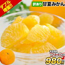 【1,280円⇒980円★セール開催中】甘夏 みかん 訳あり 1.5kg 最大+4セット分おまけ付き 送料無料 熊本県産 名産地 旬のみかん 柑橘 果物 フルーツ 旬 mikann ※皮むき器プレゼント中！《1-5営業日以内に発送予定》