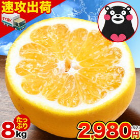 河内晩柑 8kg 送料無料 和製 グレープフルーツ フルーツ 果物 みかん 訳あり 夏文旦 晩柑 ジューシーみかん 熊本県産 お買い物マラソン 《1-5営業日以内に発送予定》
