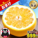 【1,111円⇒999円★セール開催中】河内晩柑 1.5kg 送料無料 和製 グレープフルーツ おまけ 増量 フルーツ 果物 みかん 4.5kg 7.5kg 訳あり 夏文旦 晩柑 ジューシーみかん 熊本県産 お買い物マラソン 《1-5営業日以内に発送予定》