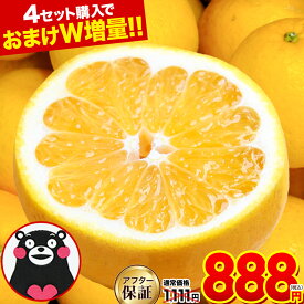 【1,111円⇒888円★大豊作SALE】 河内晩柑 1.5kg 送料無料 【最大4セット分おまけ増量】 和製 グレープフルーツ おまけ フルーツ 果物 みかん 最大約 10kg 訳あり 夏文旦 晩柑 ジューシーみかん 熊本県産 お買い物マラソン 楽天スーパーSALE 《1-5営業日以内に発送予定》