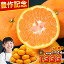 【豊作セール開催中】大粒 みかん 訳あり 熊本 送料無料 フルーツ 訳ありみかん 2セットで＋1kgおまけ 1.5kg 5kg以下 …