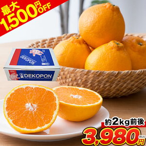 デコポン ギフトの人気商品 通販 価格比較 価格 Com